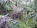 LA NATURE REPREND SES DROITS